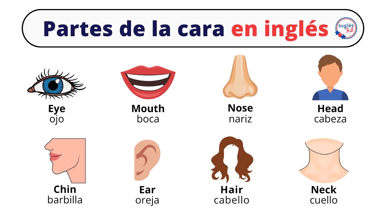 Speak Like a Native: English Idioms Using Face Parts